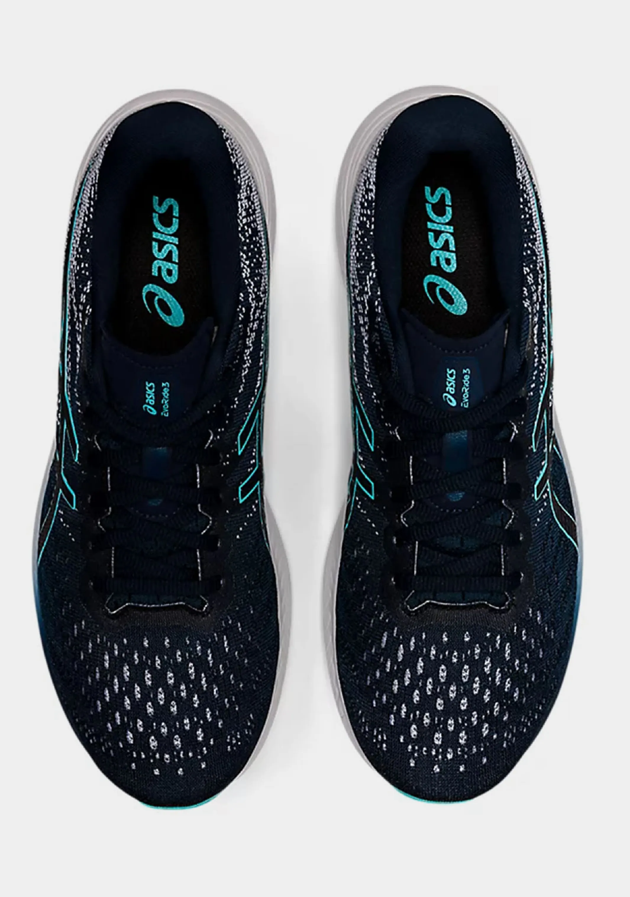 Asics Men??s Evoride 3