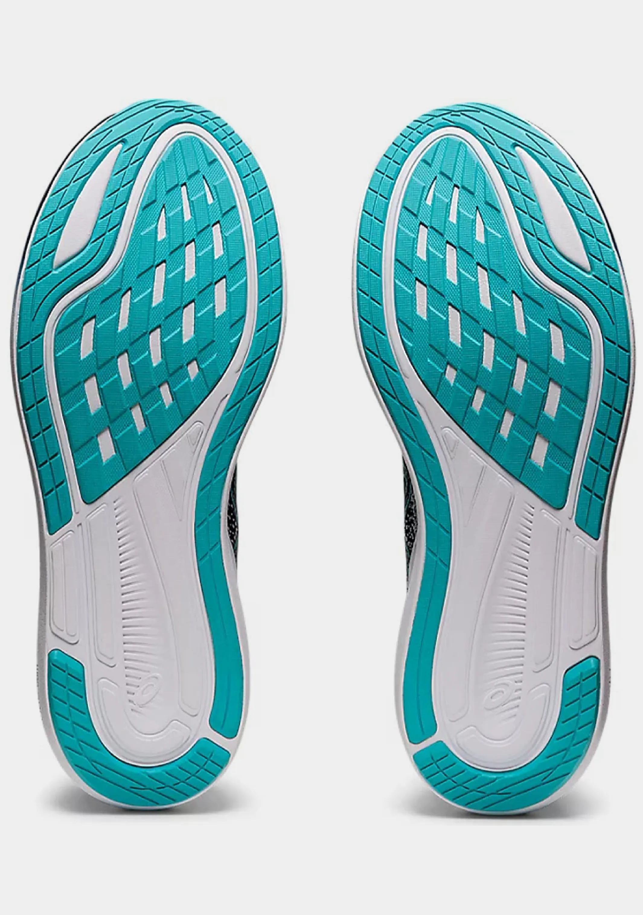 Asics Men??s Evoride 3
