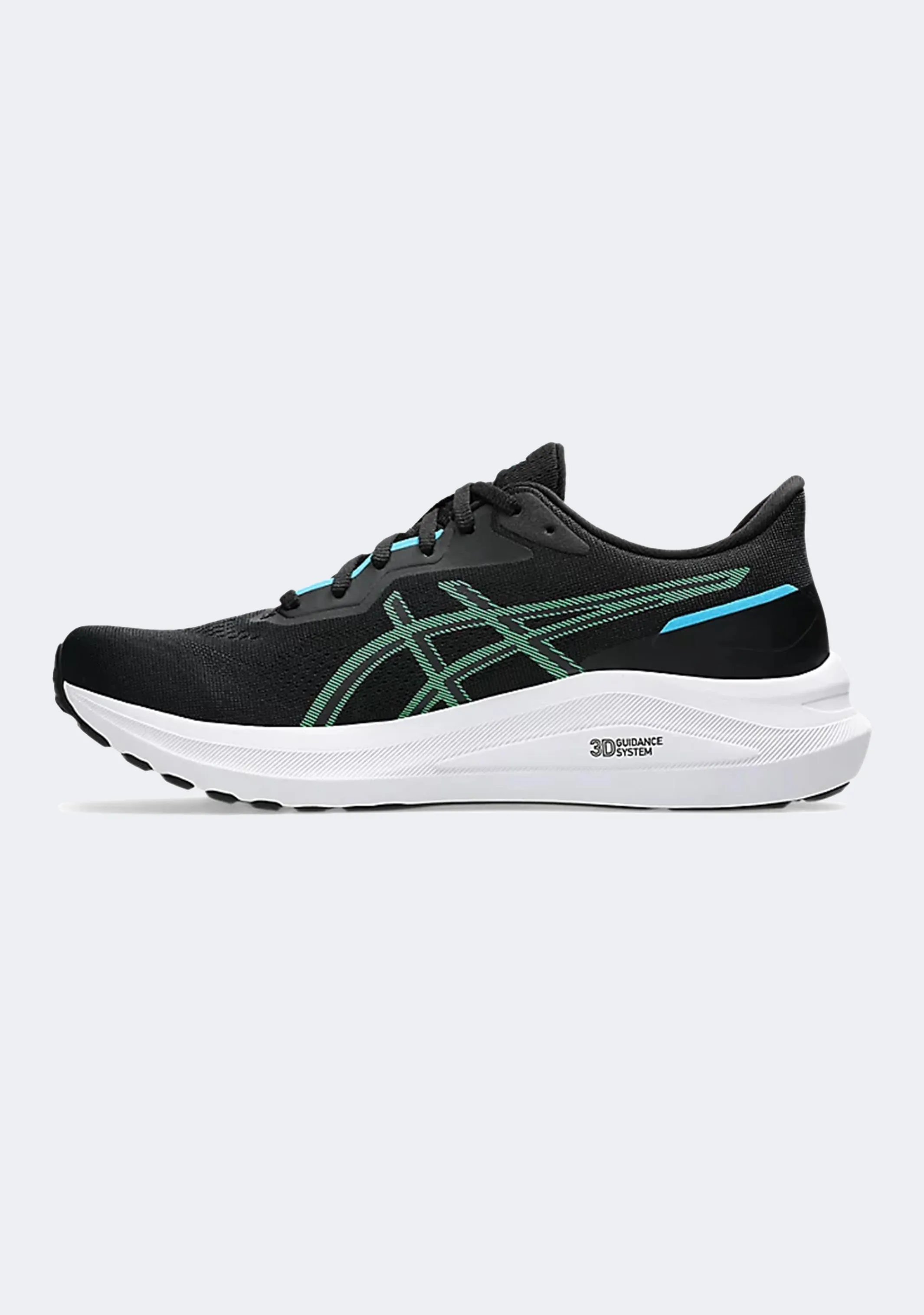 Asics Men's GT 1000 13