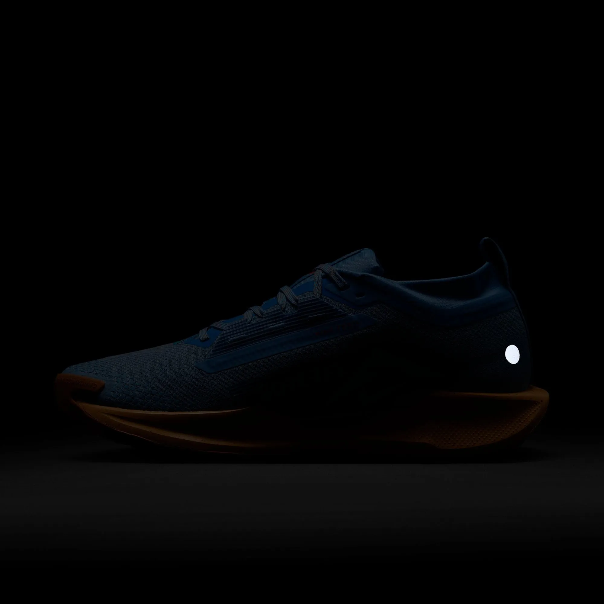Men??s React Pegasus Trail 5 GORE-TEX (400 - Blue Beyond/Blue Void-Copper Moon)
