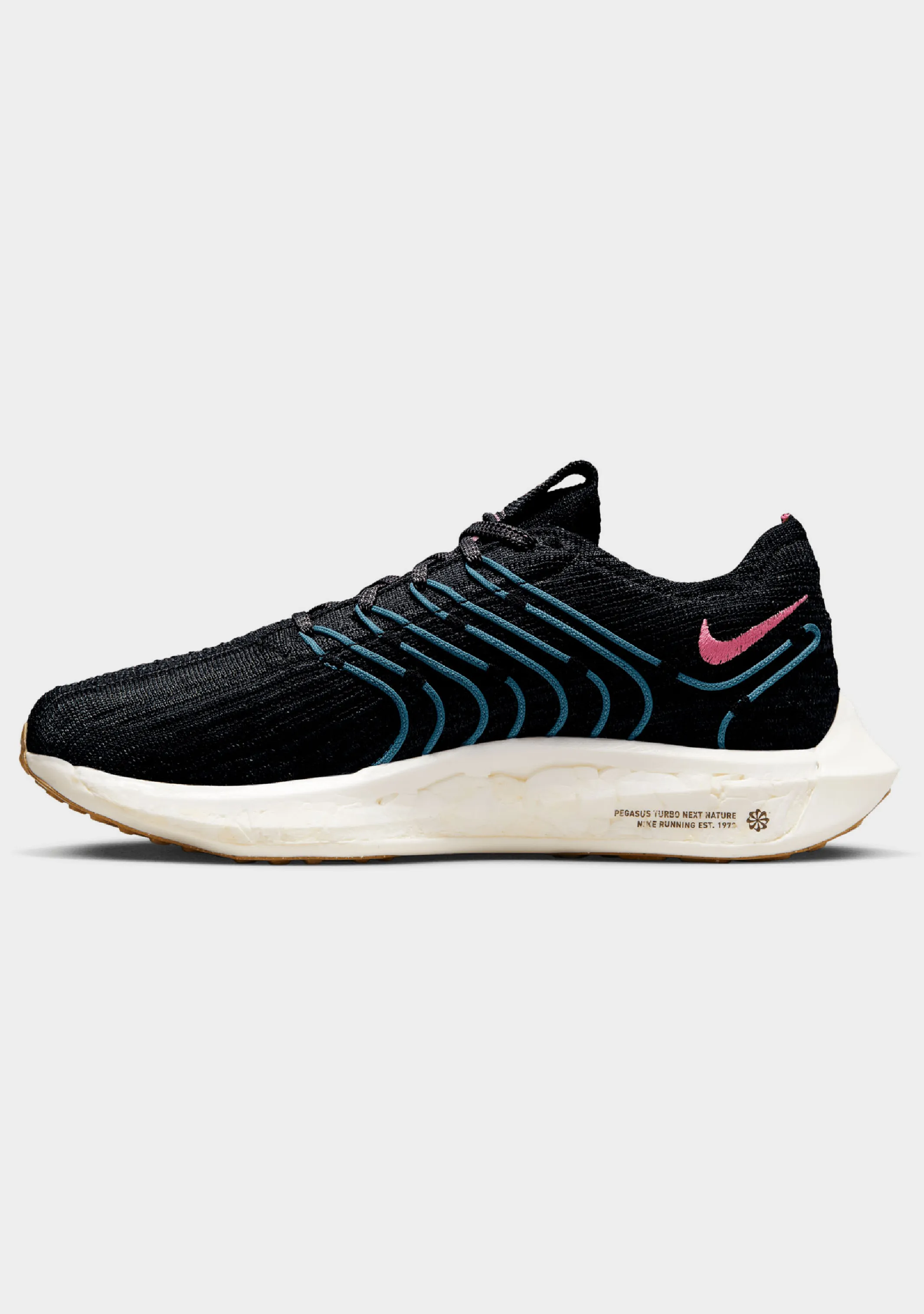 Nike Women??s Pegasus Turbo Next Nature