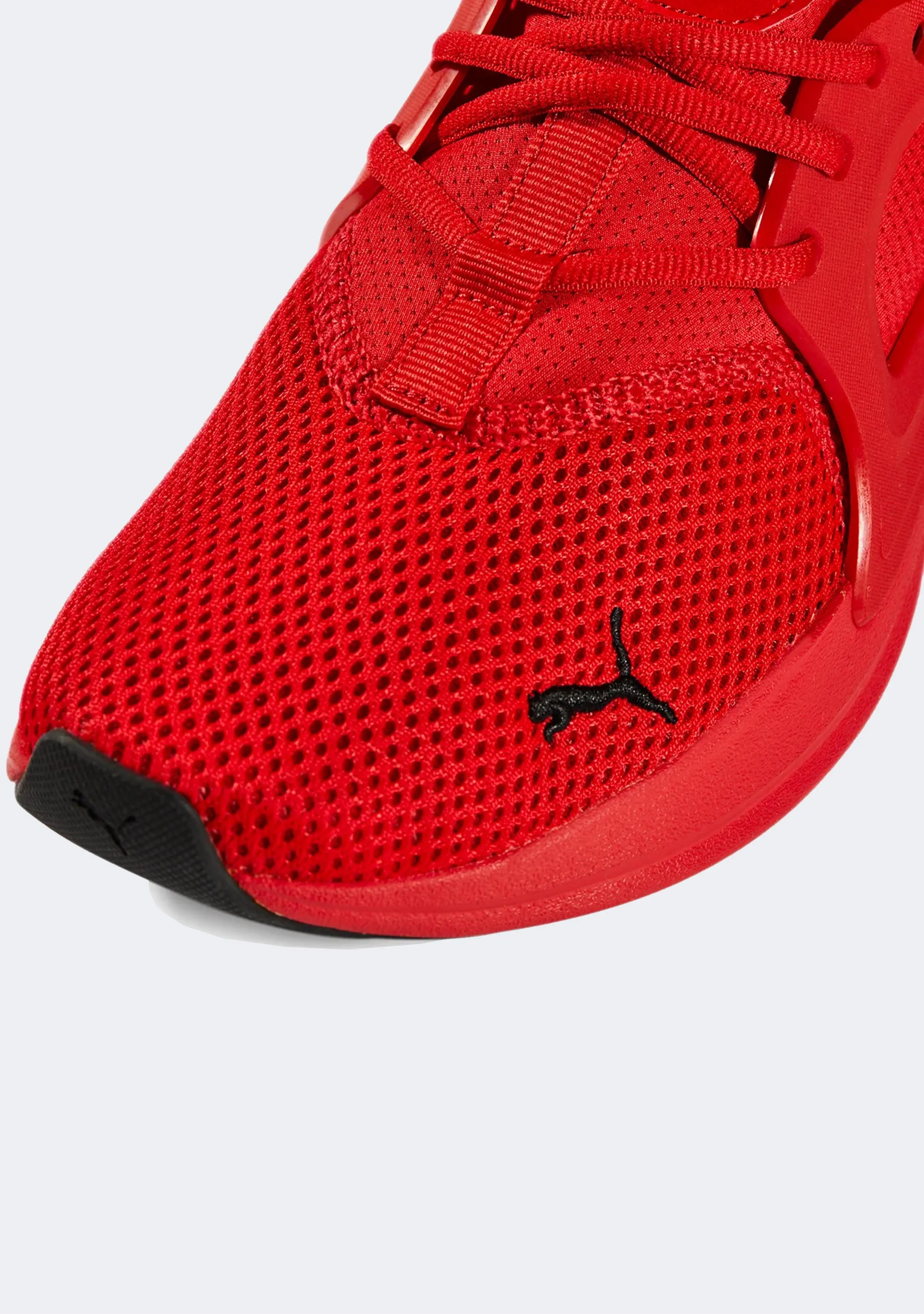 Puma Men??s Softride Enzo EVO