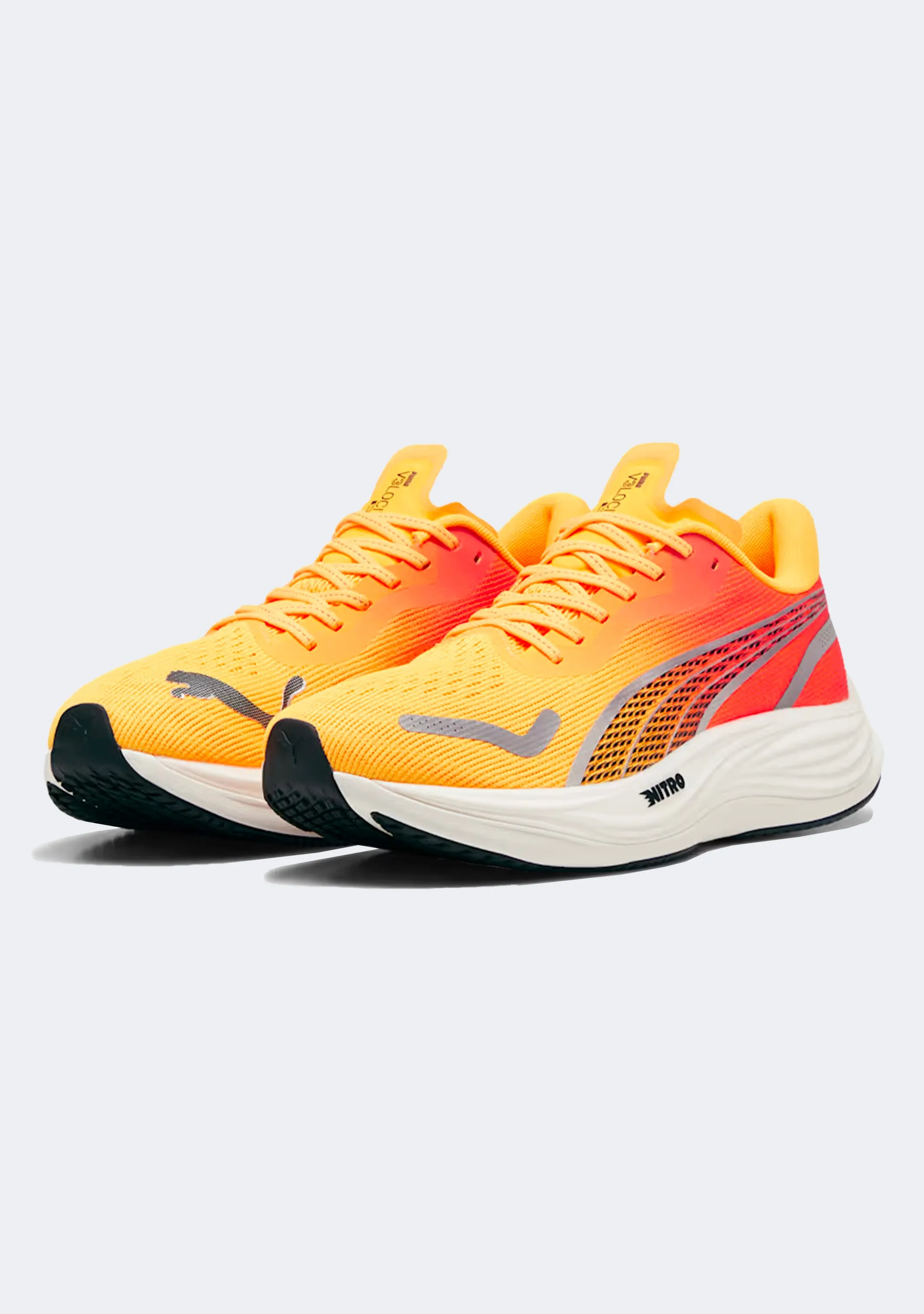 Puma Men's Velocity Nitro? 3 Fade
