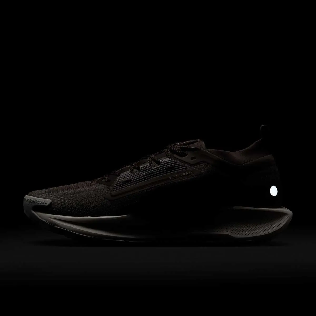 REACTX PEGASUS TRAIL 5 GORE-TEX SP 'Mink Brown Moon Particle'